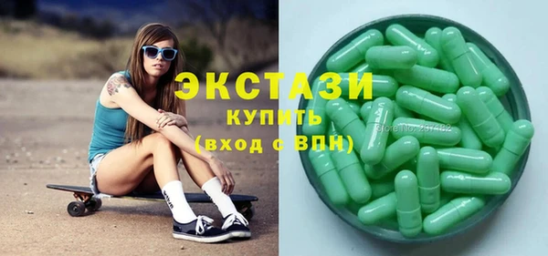 дживик Ельня