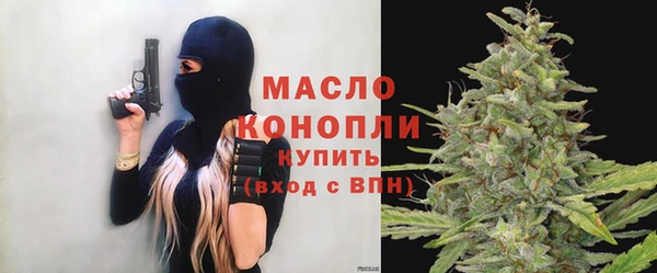 амф Гусев