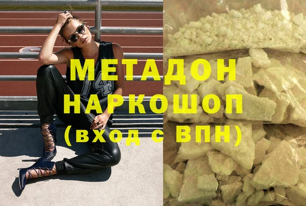 амф Гусев