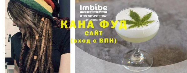 дживик Ельня