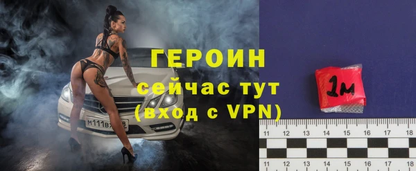 амф Гусев