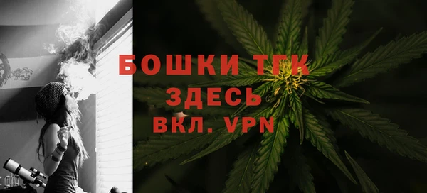 амф Гусев