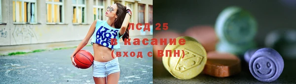 дживик Ельня