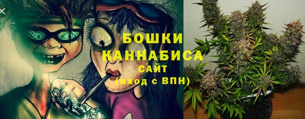 прущая мука Гусиноозёрск
