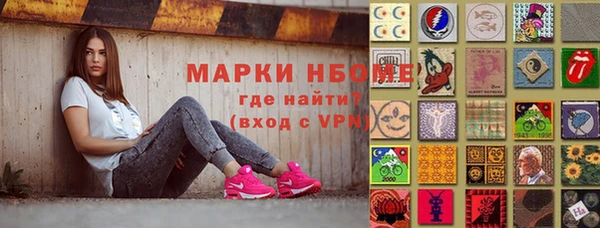 амф Гусев