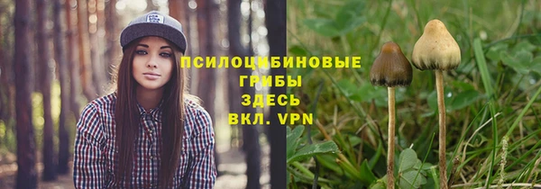 наркотики Гусь-Хрустальный