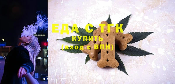 амф Гусев